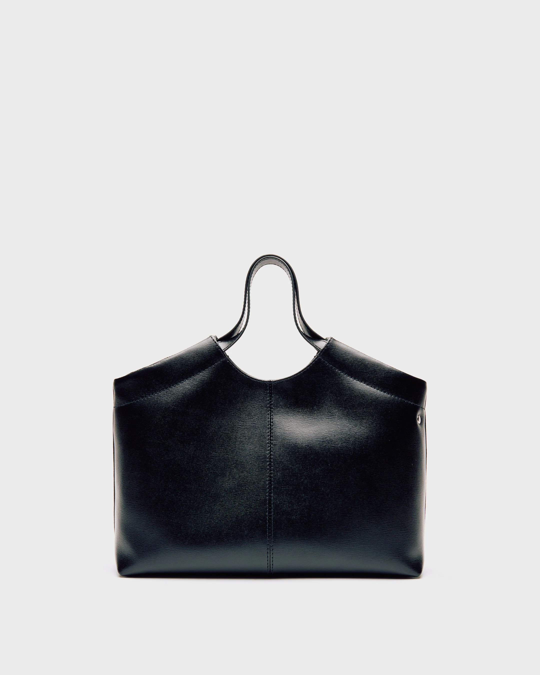 Small Bellis Florence Black - Image 3